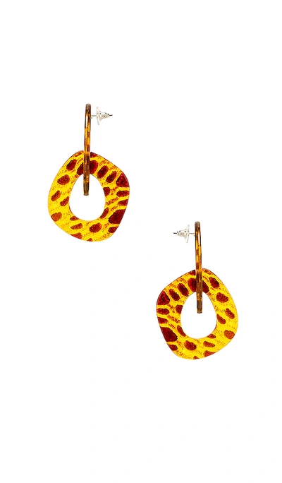 Shop Amber Sceats Brooke Earrings In Brown