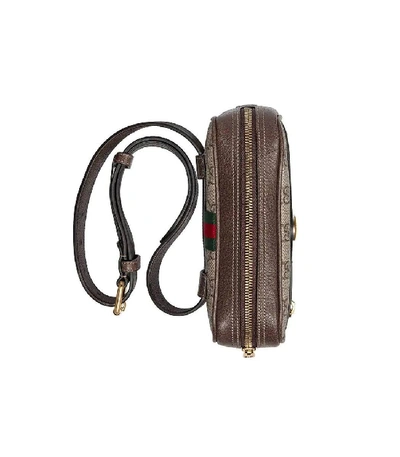 Shop Gucci Brown Ophidia Gg Supreme Small Belt Bag