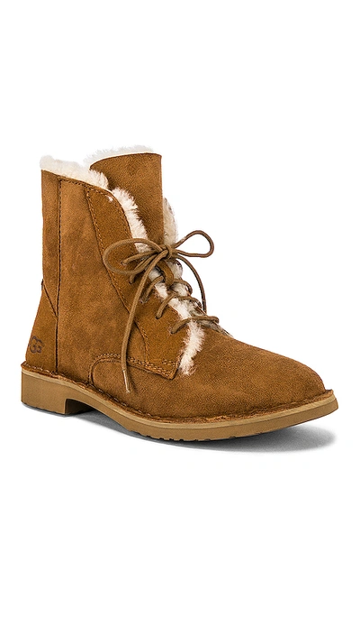 Shop Ugg Quincy Boot In Chestnut