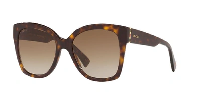 Shop Gucci Unisex Sunglasses Gg0459s In Brown
