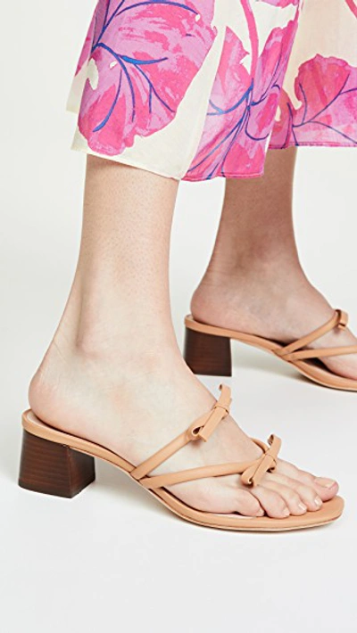 Shop Loeffler Randall Jean Delicate Strap Thong Mules In Dune