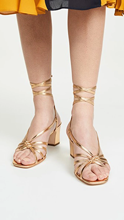 Shop Loeffler Randall Libby Knotted Wrap Sandals In Gold