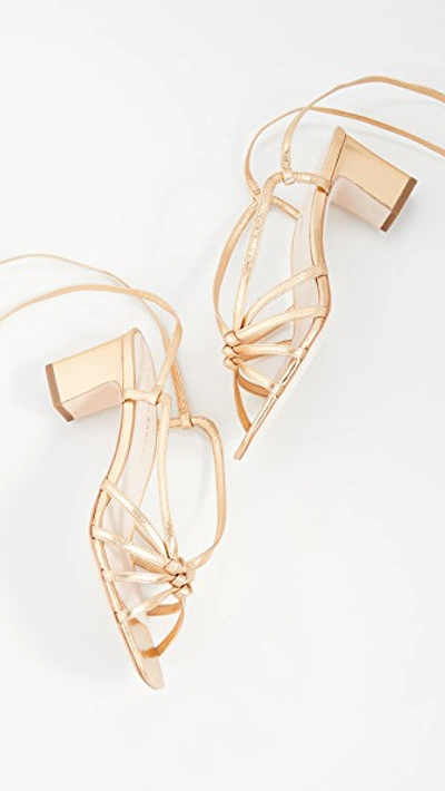 Shop Loeffler Randall Libby Knotted Wrap Sandals In Gold