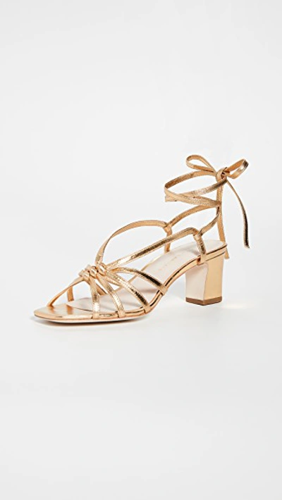 Shop Loeffler Randall Libby Knotted Wrap Sandals In Gold