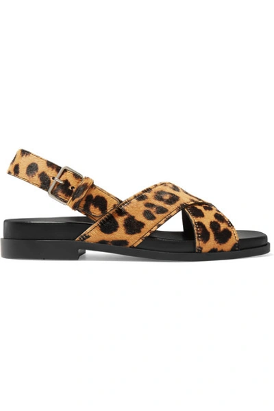 Shop Prada Leopard-print Calf Hair Slingback Sandals In Leopard Print