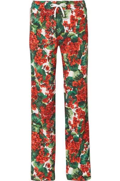 Shop Dolce & Gabbana Intarsia-trimmed Floral-print Cady Track Pants In Red