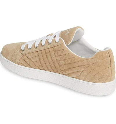 Shop Prada Quilted Low Top Sneaker In Deserto Suede