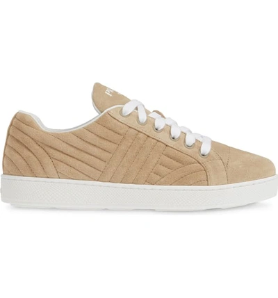 Shop Prada Quilted Low Top Sneaker In Deserto Suede