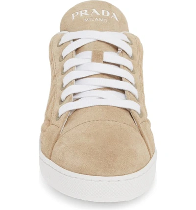 Shop Prada Quilted Low Top Sneaker In Deserto Suede