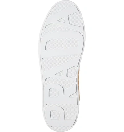 Shop Prada Quilted Low Top Sneaker In Deserto Suede