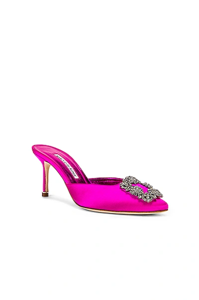 Shop Manolo Blahnik Hangisi 70 Mule In Hot Pink