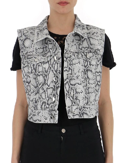Shop Alexander Wang Cropped Python Print Vest In Multi