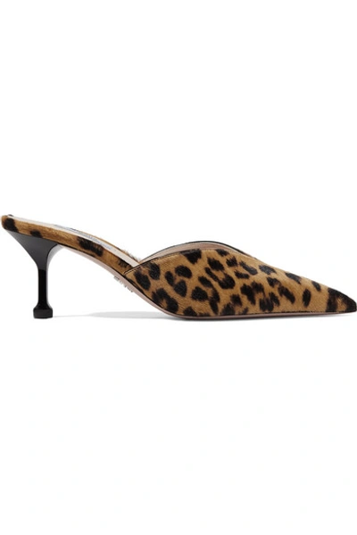 Shop Prada 70 Leopard-print Calf Hair Mules In Leopard Print