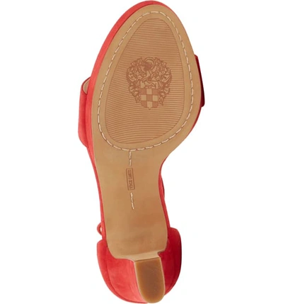 Shop Vince Camuto Sathina Sandal In Glamour Red Suede