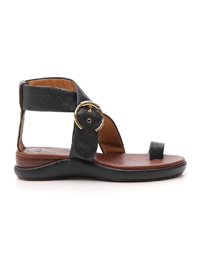 Shop Chloé Crossover Buckle Sandals In Black