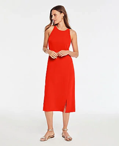 Shop Ann Taylor Petite Halter Shift Dress In Fiery Red