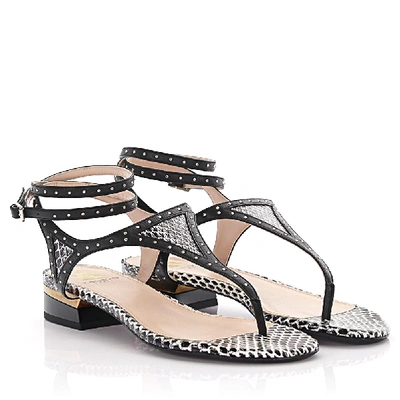 Shop Lanvin Sandals Snake Skin Black