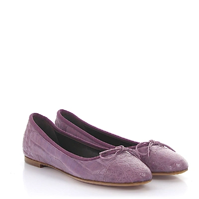 Shop Unützer Classic Ballet Flats Alligator Leather Ribbon Purple