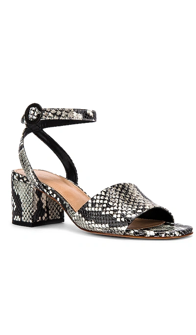 Shop Raye Nava Sandal In Black & White