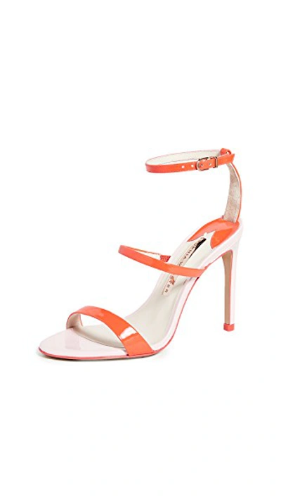 Shop Sophia Webster Rosalind Sandals In Pink/sophia Pink