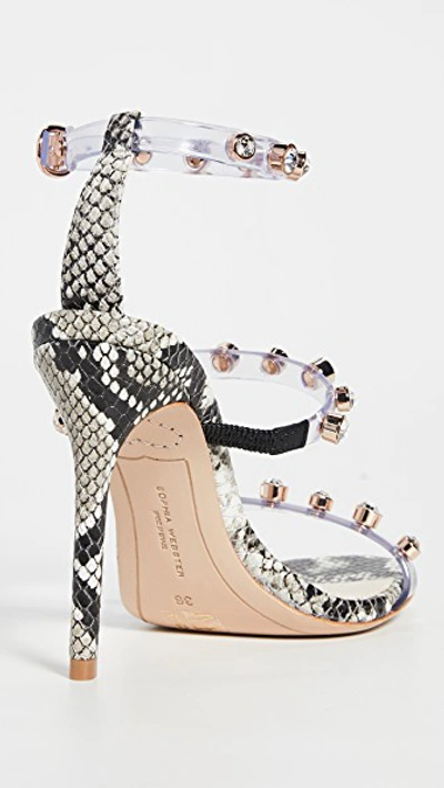 Shop Sophia Webster Rosalind Gem Sandals In Snake