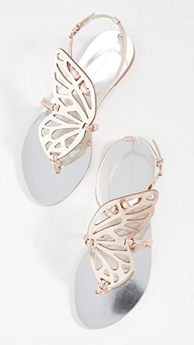 Shop Sophia Webster Butterfly Flat Sandals In Silver/rose Gold