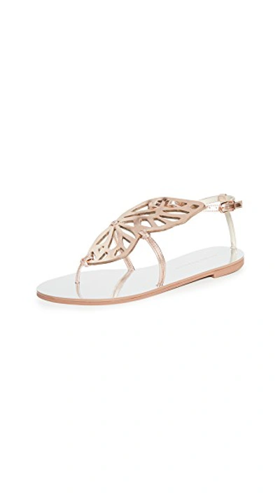 Shop Sophia Webster Butterfly Flat Sandals In Silver/rose Gold
