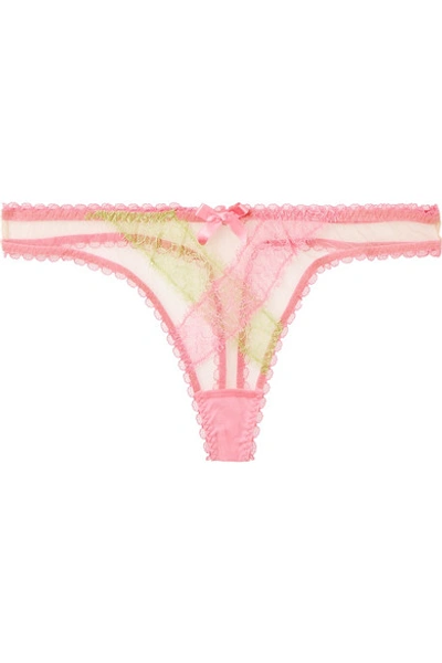Shop Agent Provocateur Chelsea Lace-trimmed Tulle Thong In Pink