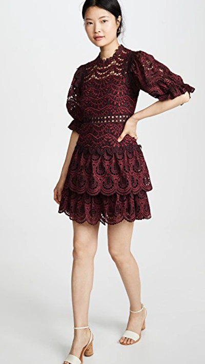 Shop Sea Rosalie Mini Dress In Ruby