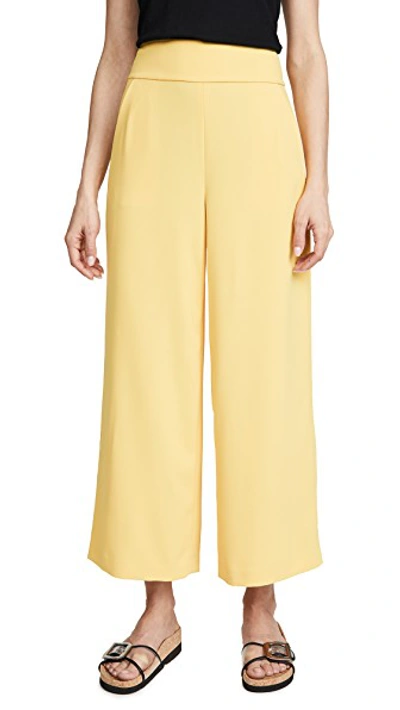 Shop Alice And Olivia Donald High Waist Gaucho Pants In Golden Rod