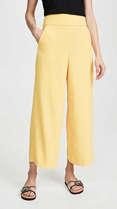 Shop Alice And Olivia Donald High Waist Gaucho Pants In Golden Rod