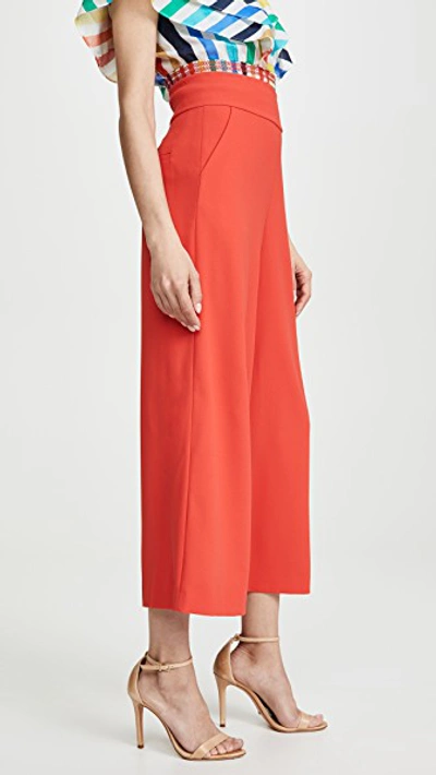 Shop Alice And Olivia Donald High Waist Gaucho Pants In Cherry