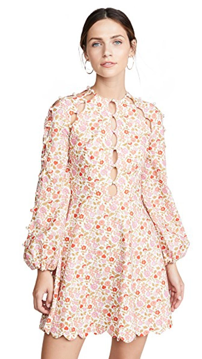 Shop Zimmermann Goldie Scallop Short Dress In Coral Blossom