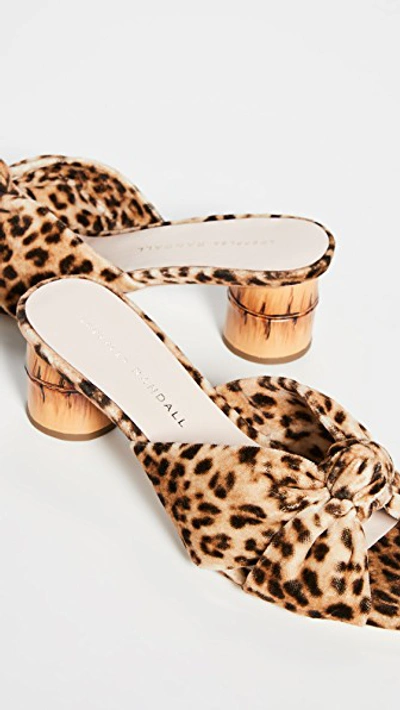 Shop Loeffler Randall Celeste Mid Heel Knot Slide Sandals In Leopard