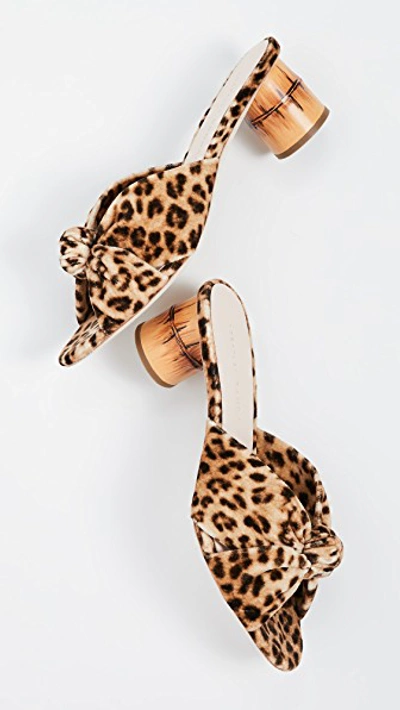 Shop Loeffler Randall Celeste Mid Heel Knot Slide Sandals In Leopard