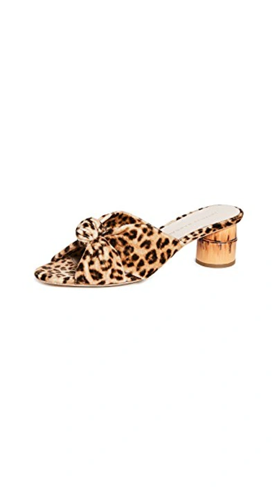 Shop Loeffler Randall Celeste Mid Heel Knot Slide Sandals In Leopard