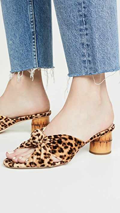 Shop Loeffler Randall Celeste Mid Heel Knot Slide Sandals In Leopard