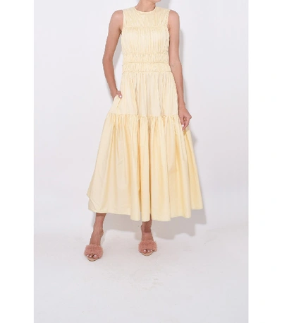 Shop Roksanda Isilda Dress In Elderflower In Yellow