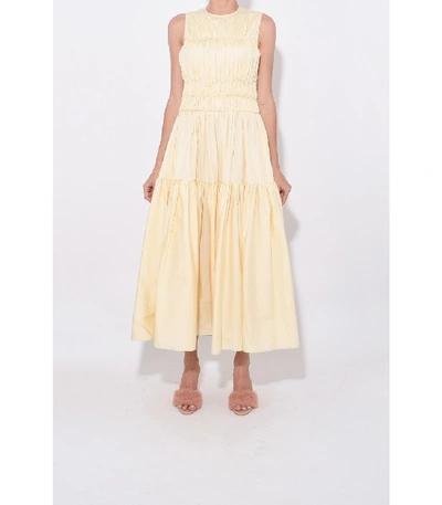 Shop Roksanda Isilda Dress In Elderflower In Yellow