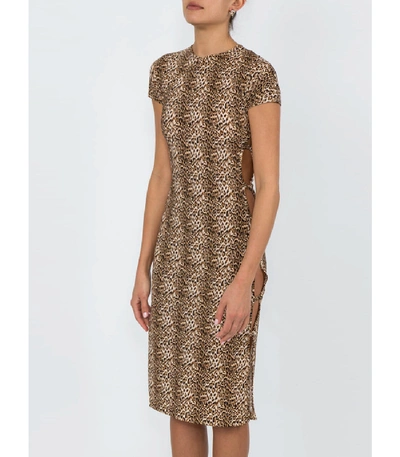 Shop Marcia Leopard Tchikiboum Dress In Multi