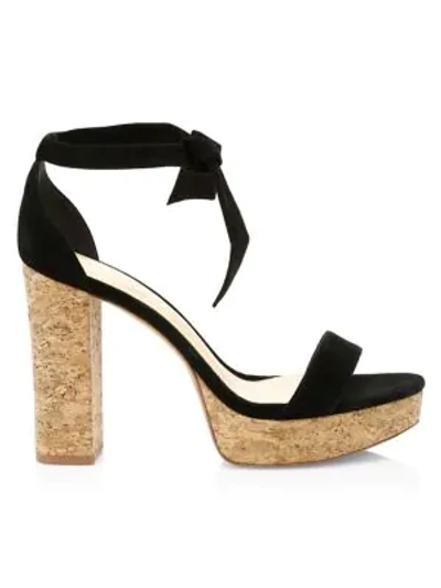 Shop Alexandre Birman New Celine Suede Platform Sandals In Black