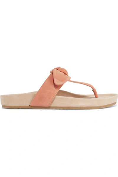 Shop Loeffler Randall Adriana Bow-detailed Suede Sandals In Blush