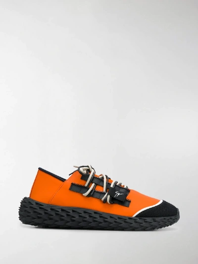 Shop Giuseppe Zanotti Urchin Sneakers In Orange