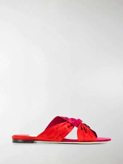 Shop Jimmy Choo Lela Flat Sandals In Red