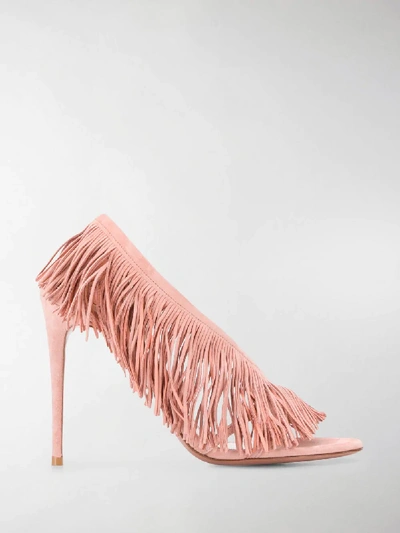 Shop Aquazzura Wild Fringe Sandals In Pink