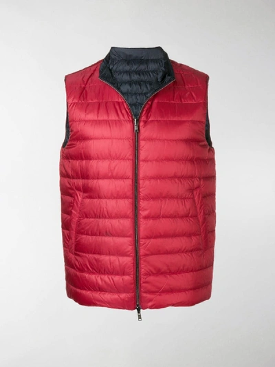 Shop Herno Reversible Puffer Gilet In Red