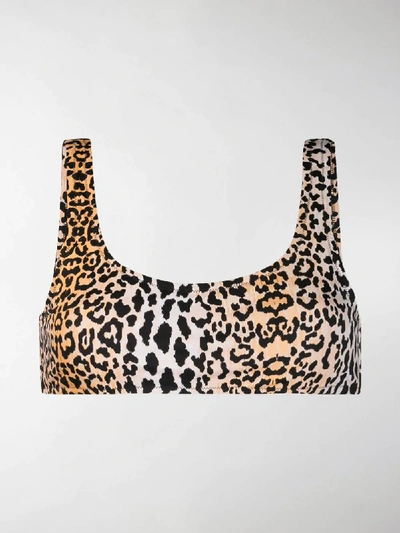 Shop Reina Olga Leopard Print Bikini Top In Leopardo
