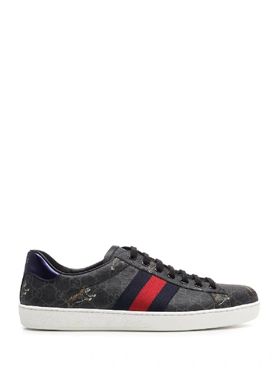 Shop Gucci Gg Tiger Web Sneakers In Multi