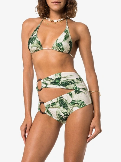 Shop Adriana Degreas Green And White Tropical Print Hoops Bikini