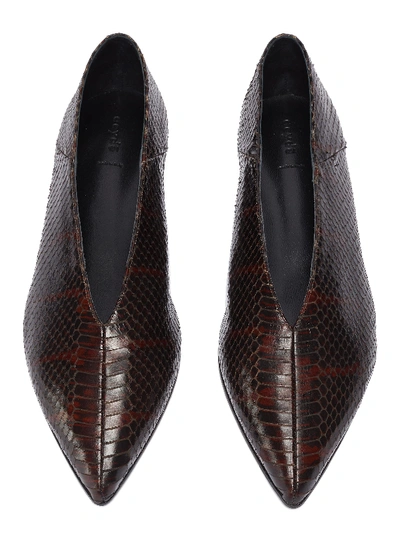 Shop Aeyde 'moa' Snake Embossed Choked-up Leather Flats In Chocholate / Snake Embossed